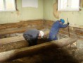 /album/kivitalkoot-18-11-2016/talkoot181106-008-jpg/